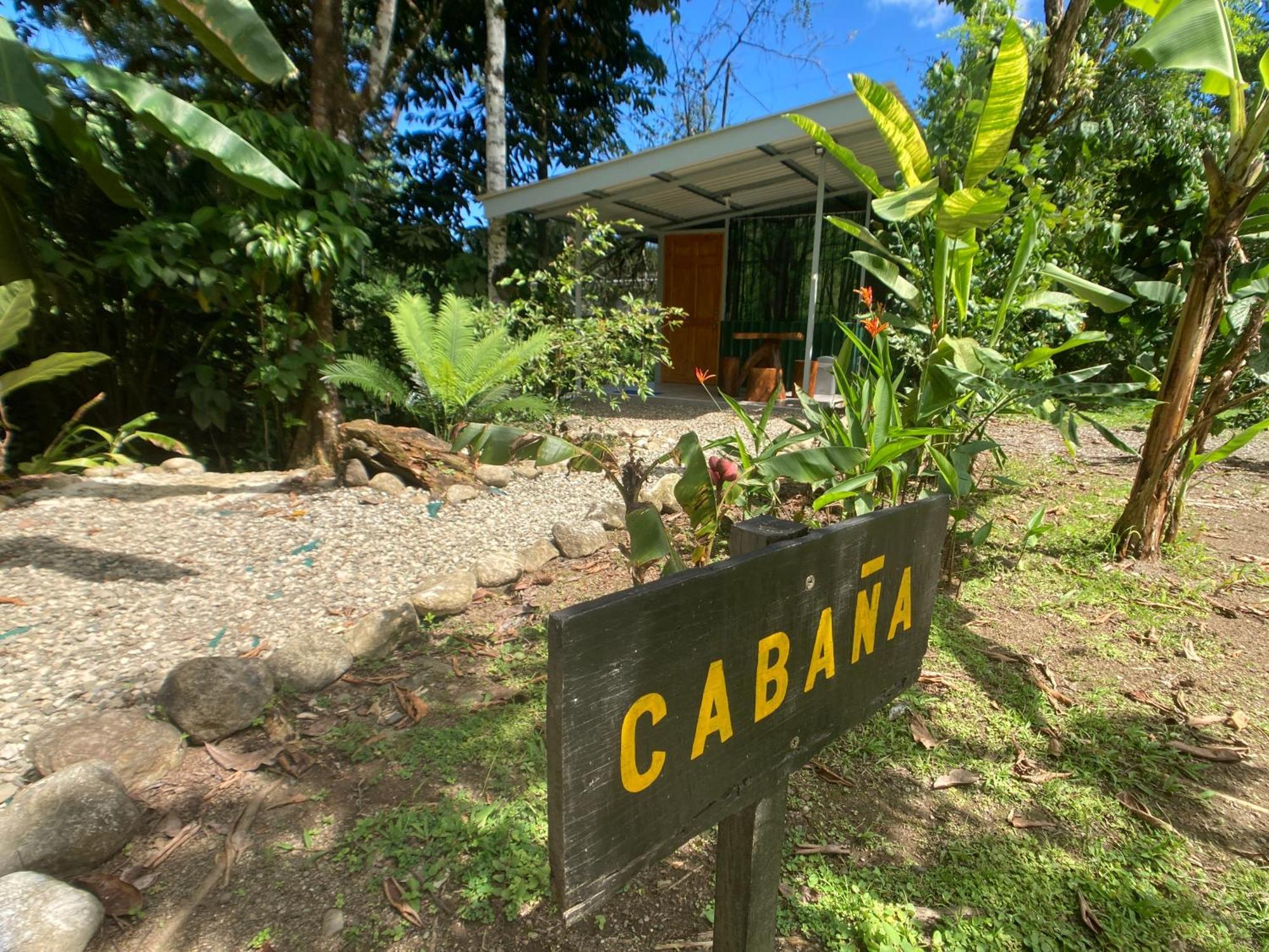 Yejos Jungle Lodge Dos Brazos Exteriér fotografie